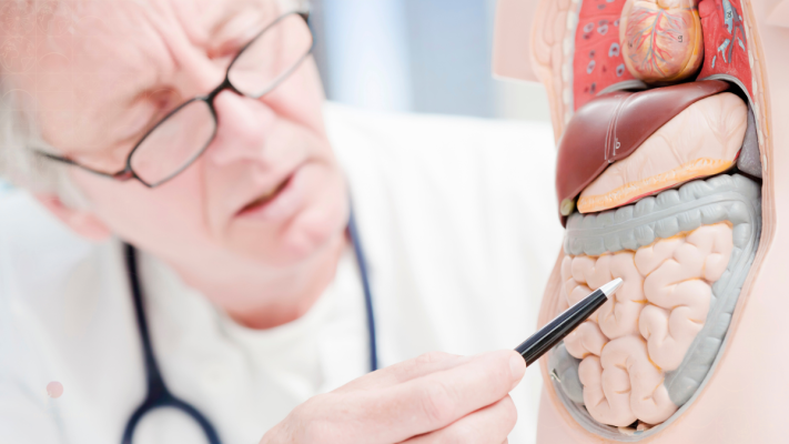 Ảnh bìa hội chứng rò rỉ ruột ảnh hưởng đến sức khỏe và rối loạn phổ tự kỷ như thế nào