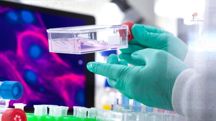 anh bia lieu phap te bao goc