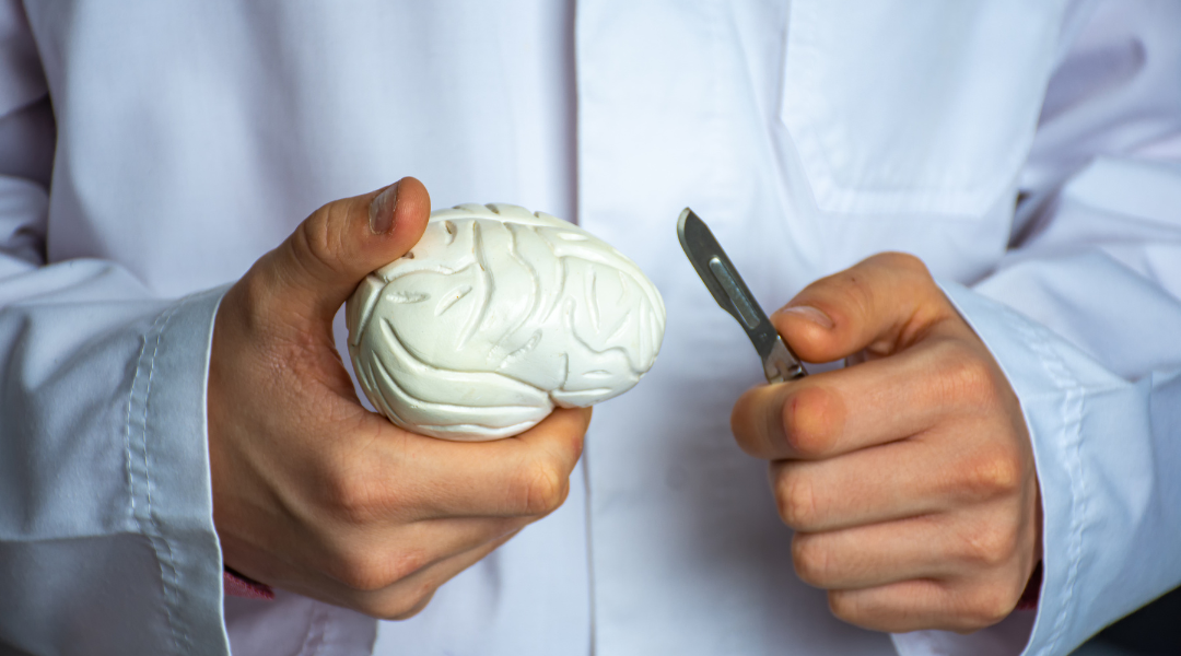 Ph&acirc;n loại n&atilde;o &uacute;ng thủy