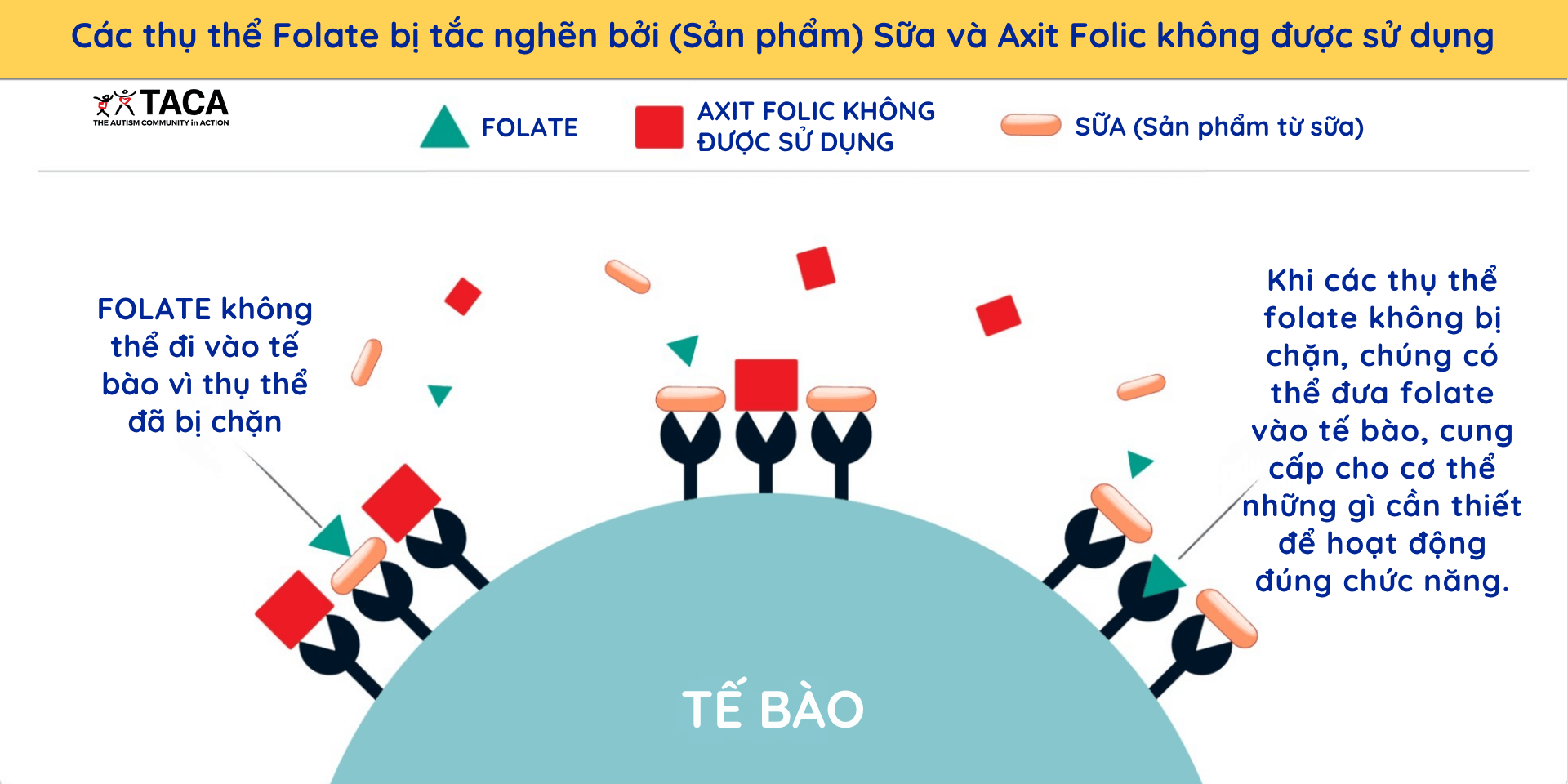 Gây mất cân bằng GABA