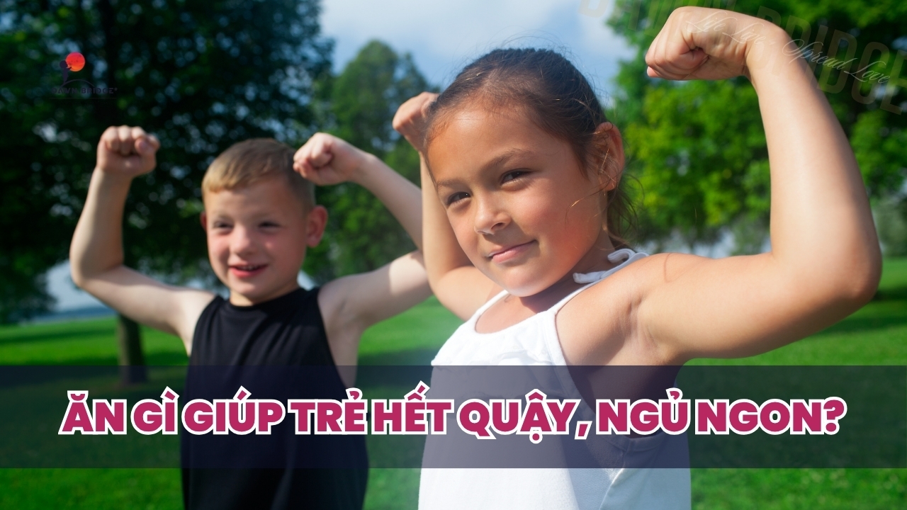 truc-nao-ruot-tre-dac-biet-axit-beo-chuoi-ngan-scfa-anh-huong-the-nao-den-hanh-vi-giac-ngu