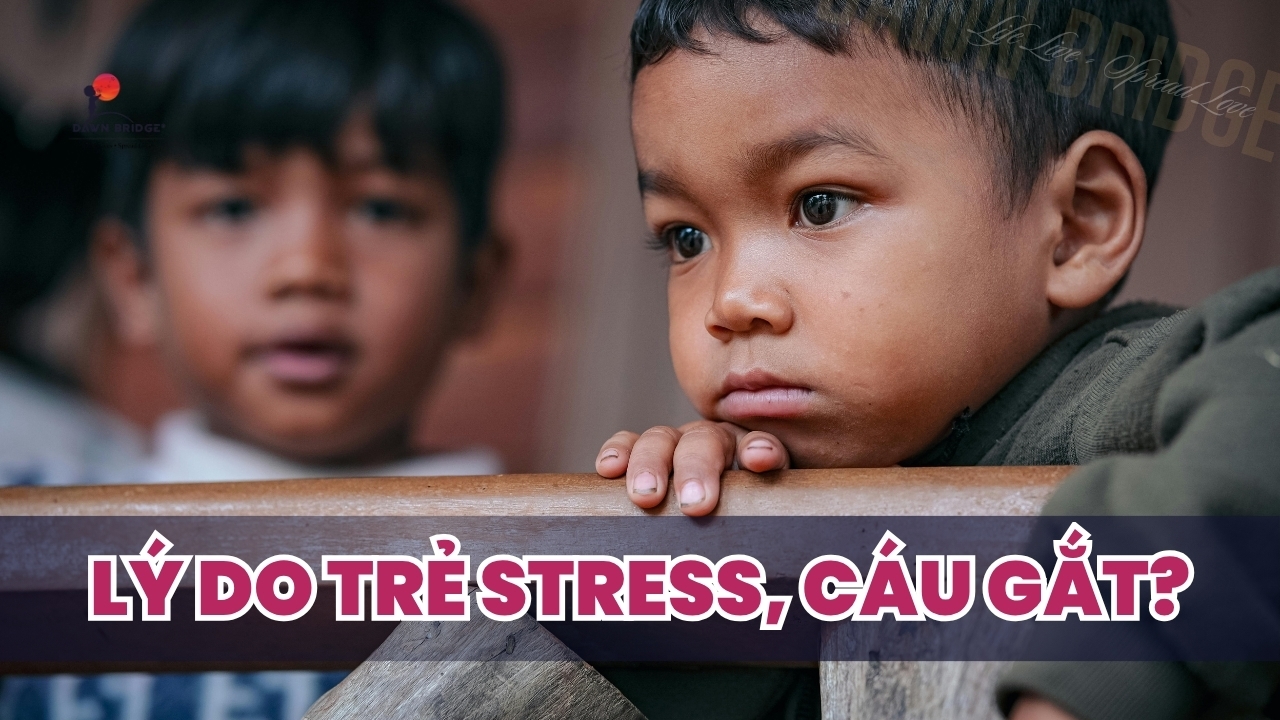 viem-than-kinh-stress-oxy-hoa-o-tre-tu-ky-hieu-ve-cong-gac-viem-tlr-4