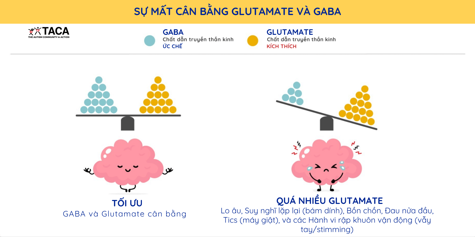 Cản trở vi chất não bộ (Folate)