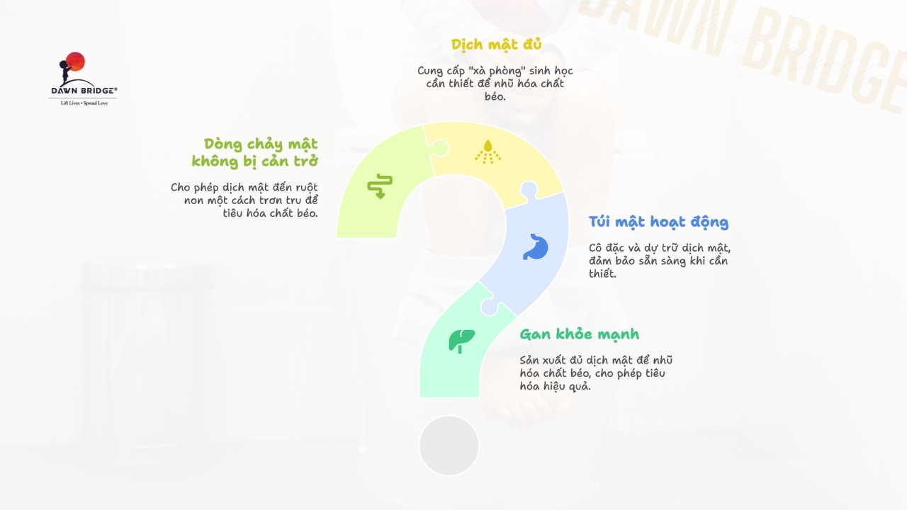 Gan & T&uacute;i Mật: "X&agrave; Ph&ograve;ng Rửa B&aacute;t" (Muối Mật)