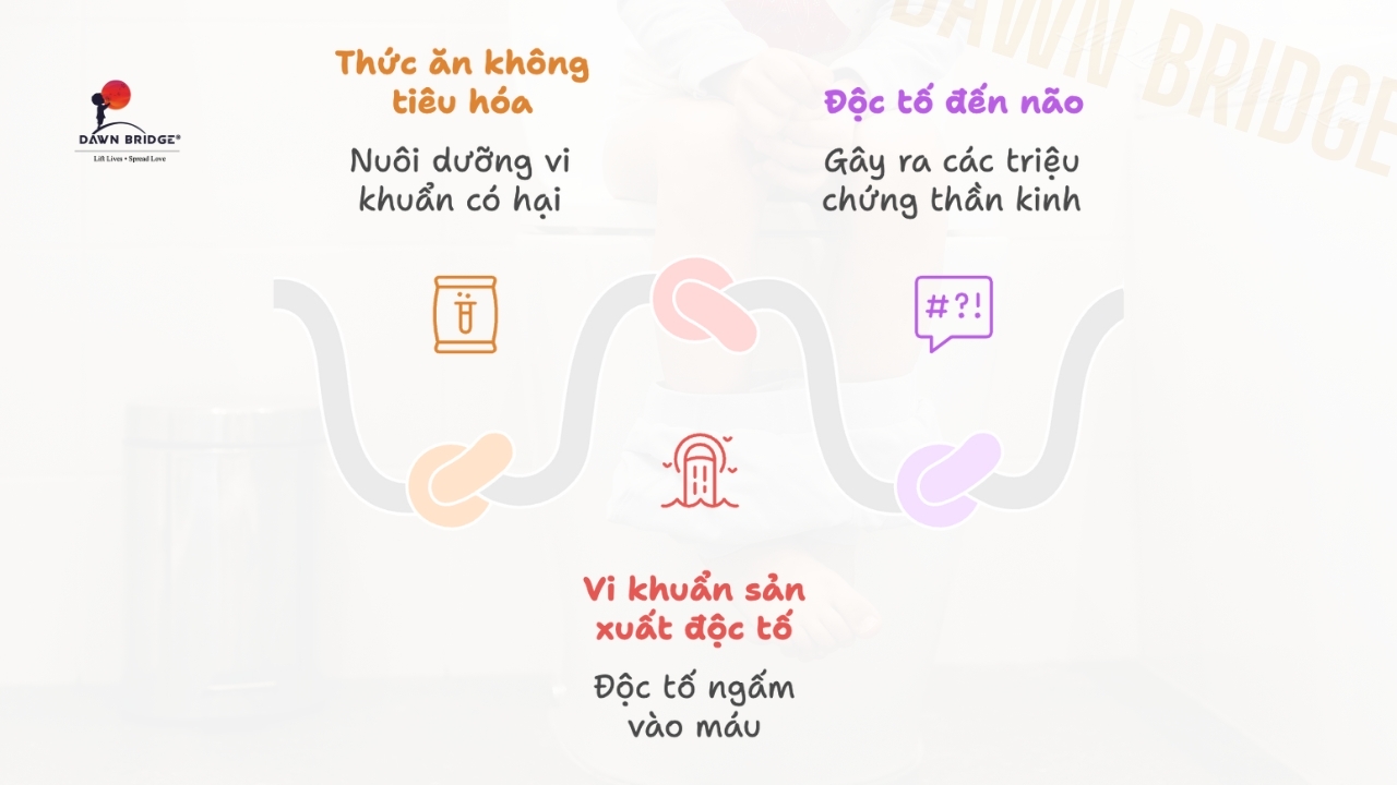 "Nu&ocirc;i B&eacute;o" Vi Khuẩn C&oacute; Hại (Loạn Khuẩn)
