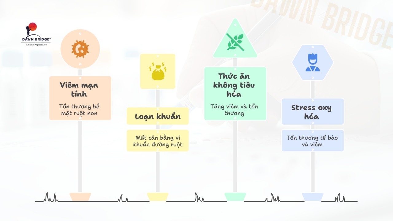 Trung T&acirc;m Hấp Thụ Của Cơ Thể