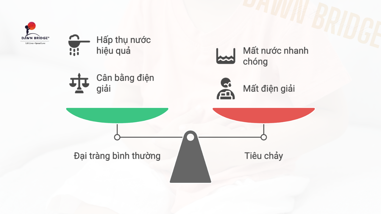 Rối Loạn 1: Tiêu Chảy (Hệ Thống "Quá Nhanh")