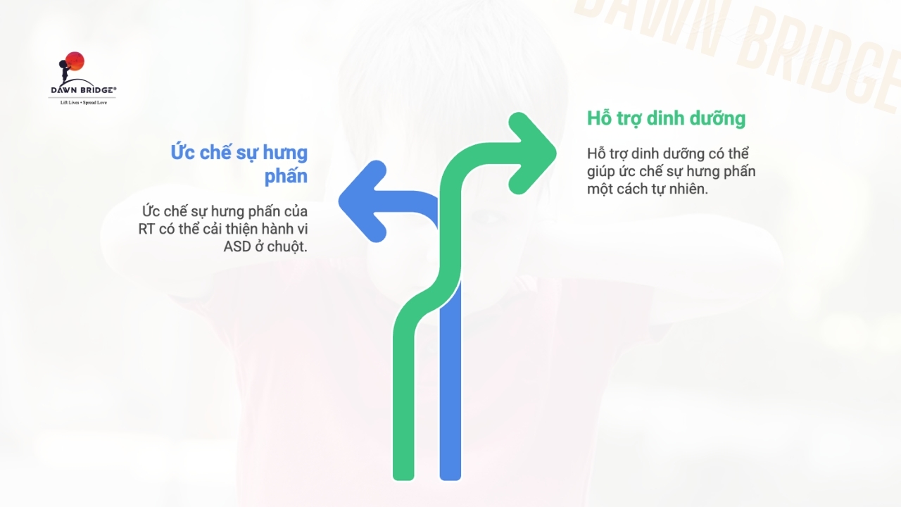 Gốc rễ h&agrave;nh vi Rối Loạn Phổ Tự Kỷ (ASD)?