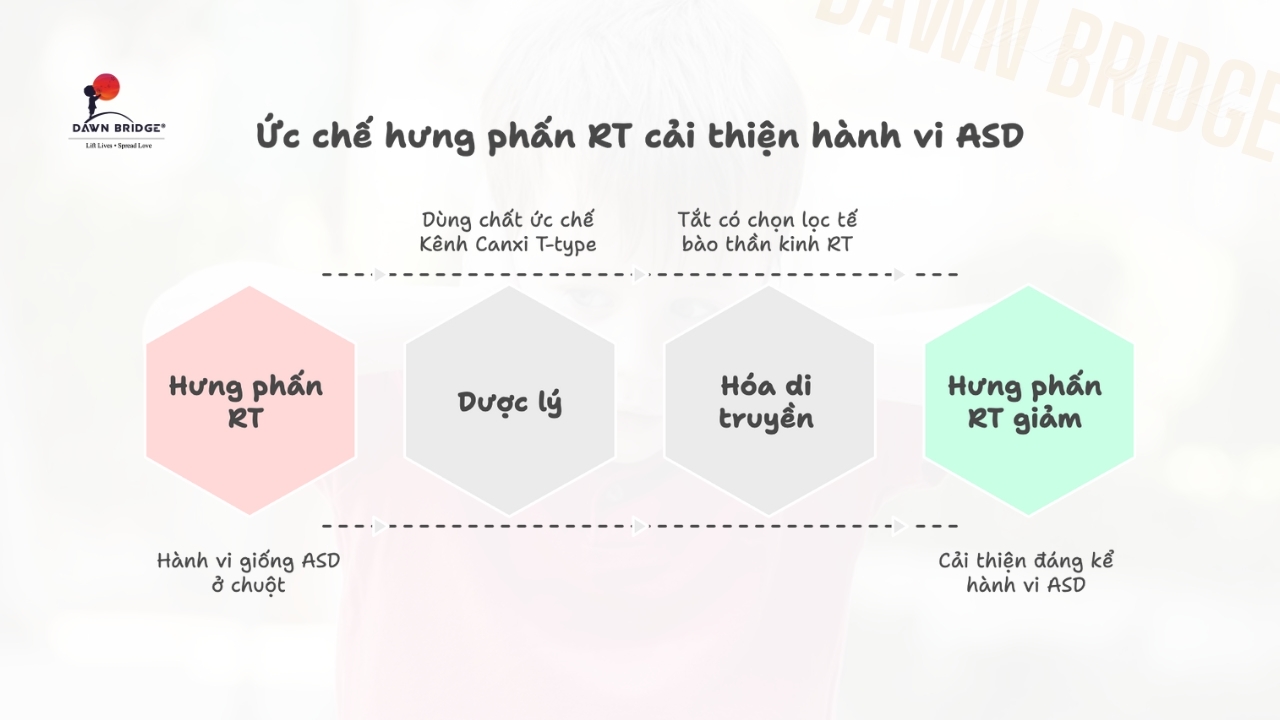 Tin vui: Ức chế sự hưng phấn n&agrave;y gi&uacute;p cải thiện đ&aacute;ng kể h&agrave;nh vi ASD