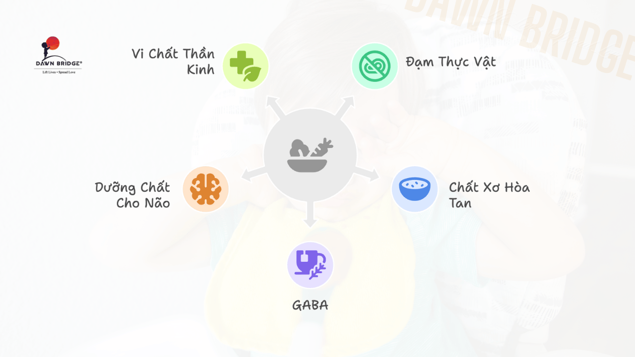 "Nuôi Dưỡng" Não Bộ: Con Cần Gì Để Bình Tĩnh Hơn?