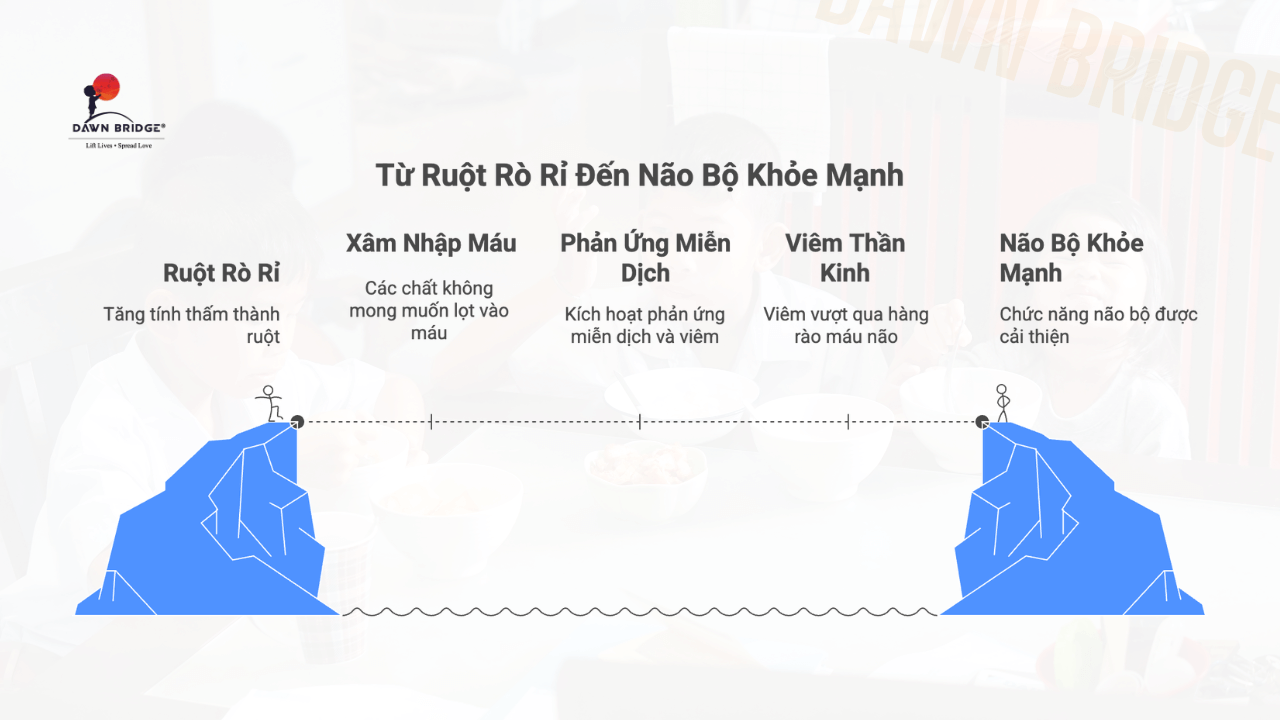 "Rò rỉ ruột" (Leaky Gut) – Cầu nối từ đường ruột đến não bộ