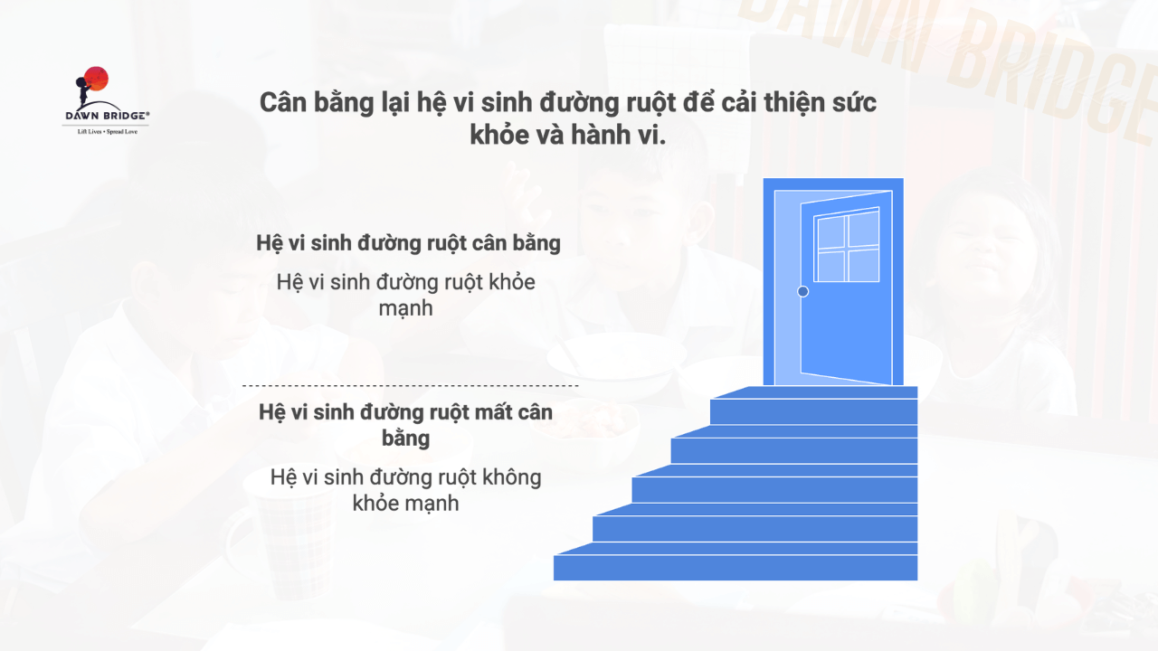 Mất cân bằng hệ vi sinh (Dysbiosis) và ảnh hưởng đến hành vi